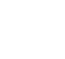White Zigzag Line